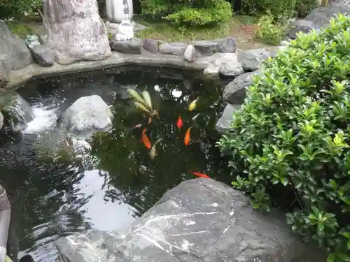 尾張猿田彦神社の庭園