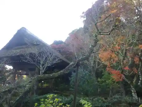 東慶寺の自然
