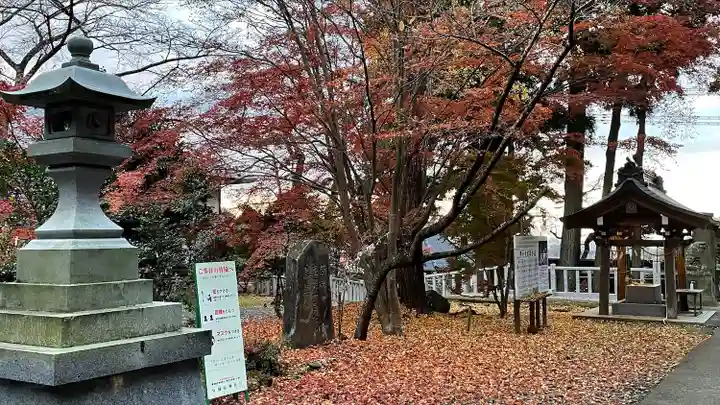 陸奥総社宮(宮城県)