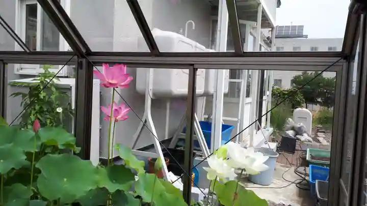 極楽山 浄土寺(北海道)