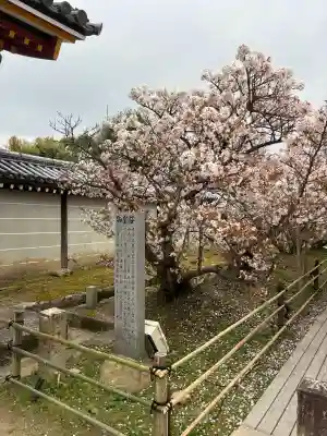 仁和寺の{uncategorized: "未分類", other: "その他", undefined: "問題あり", building: "その他建物", grave: "お墓", sacred_gate: "鳥居", guardian: "狛犬", statue: "像", buddha: "仏像", history: "歴史", nature: "自然", garden: "庭園", animal: "動物", pagoda: "塔", temizu: "手水舎", mountain_gate: "山門・神門", sanctuary: "本殿・本堂", subordinate: "末社・摂社", art: "芸術", scenery: "景色", jizo: "地蔵", ema: "絵馬", goshuin: "御朱印", omikuji: "おみくじ", items: "授与品その他", amulet: "お守り", goshuincho: "御朱印帳", eats: "食事", festival: "お祭り", votive_dance: "神楽", shichigosan: "七五三参", wedding: "結婚式", experience: "体験その他", initially: "初詣", around: "周辺", anti_infection: "感染症対策"}