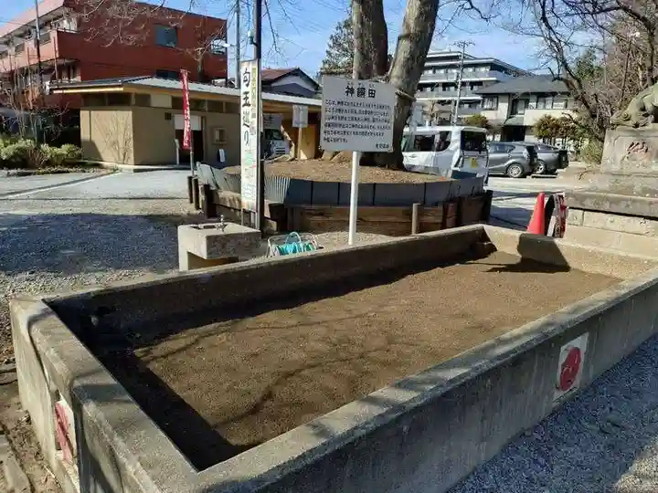 鎮守氷川神社のお祭り