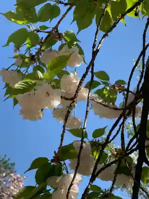 白雲神社(京都府)