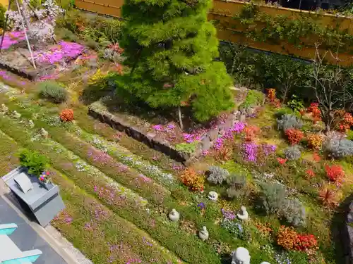 寿量山　速成寺(奈良県)