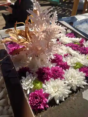 根岸八幡神社(神奈川県)