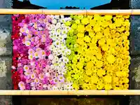 土津神社|こどもと出世の神さまの手水舎