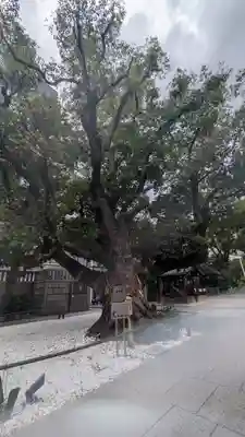 難波神社(大阪府)
