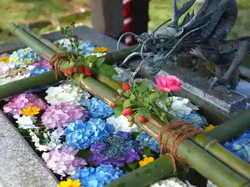 今市報徳二宮神社の手水舎