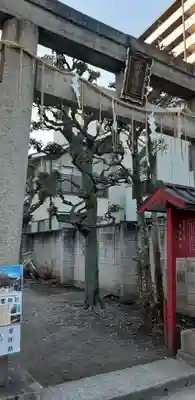 秋葉神社の鳥居