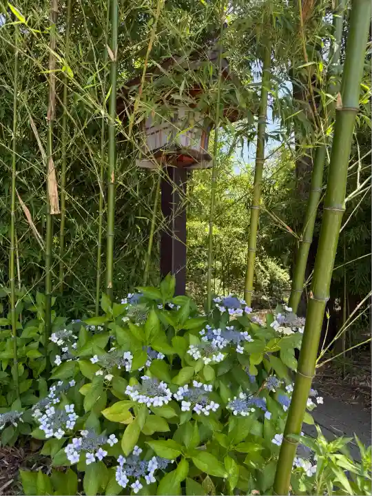 武蔵一宮氷川神社(埼玉県)