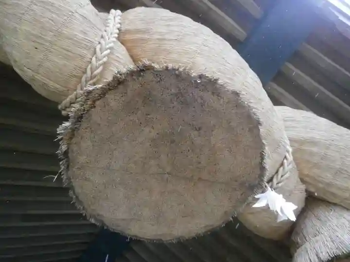 出雲大社(島根県)