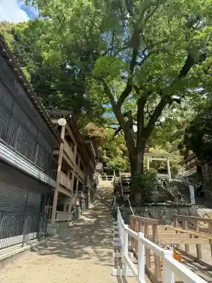 多度大社の{uncategorized: "未分類", other: "その他", undefined: "問題あり", building: "その他建物", grave: "お墓", sacred_gate: "鳥居", guardian: "狛犬", statue: "像", buddha: "仏像", history: "歴史", nature: "自然", garden: "庭園", animal: "動物", pagoda: "塔", temizu: "手水舎", mountain_gate: "山門・神門", sanctuary: "本殿・本堂", subordinate: "末社・摂社", art: "芸術", scenery: "景色", jizo: "地蔵", ema: "絵馬", goshuin: "御朱印", omikuji: "おみくじ", items: "授与品その他", amulet: "お守り", goshuincho: "御朱印帳", eats: "食事", festival: "お祭り", votive_dance: "神楽", shichigosan: "七五三参", wedding: "結婚式", experience: "体験その他", initially: "初詣", around: "周辺", anti_infection: "感染症対策"}