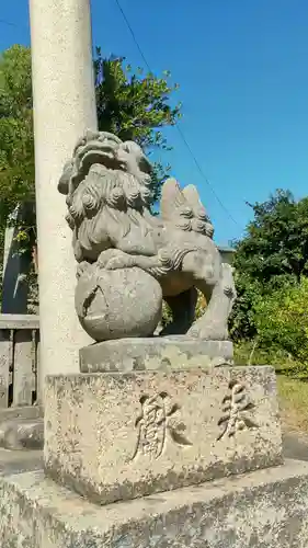 金刀比羅神社の狛犬