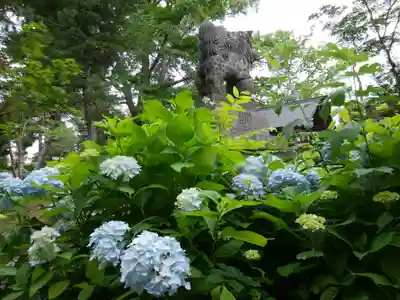 当別神社(北海道)
