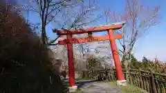 武蔵御嶽神社の鳥居