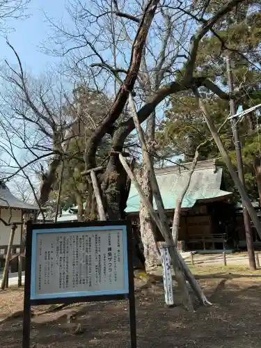蠶養國神社の{uncategorized: "未分類", other: "その他", undefined: "問題あり", building: "その他建物", grave: "お墓", sacred_gate: "鳥居", guardian: "狛犬", statue: "像", buddha: "仏像", history: "歴史", nature: "自然", garden: "庭園", animal: "動物", pagoda: "塔", temizu: "手水舎", mountain_gate: "山門・神門", sanctuary: "本殿・本堂", subordinate: "末社・摂社", art: "芸術", scenery: "景色", jizo: "地蔵", ema: "絵馬", goshuin: "御朱印", omikuji: "おみくじ", items: "授与品その他", amulet: "お守り", goshuincho: "御朱印帳", eats: "食事", festival: "お祭り", votive_dance: "神楽", shichigosan: "七五三参", wedding: "結婚式", experience: "体験その他", initially: "初詣", around: "周辺", anti_infection: "感染症対策"}
