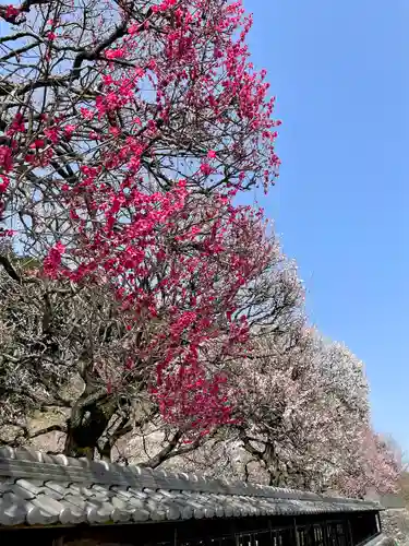 高麗神社(埼玉県)