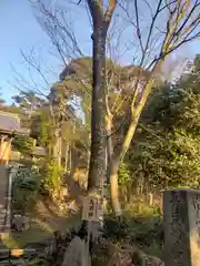 妙立寺の自然