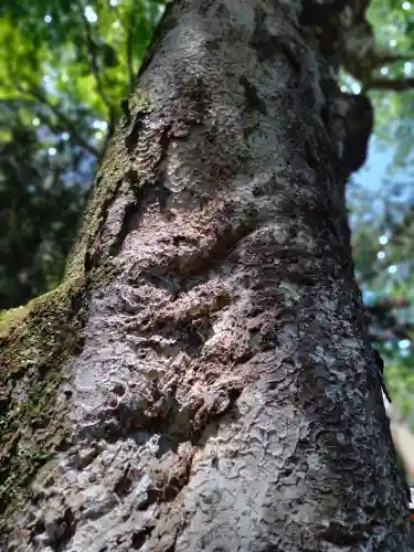 丹生川上神社（下社）(奈良県)