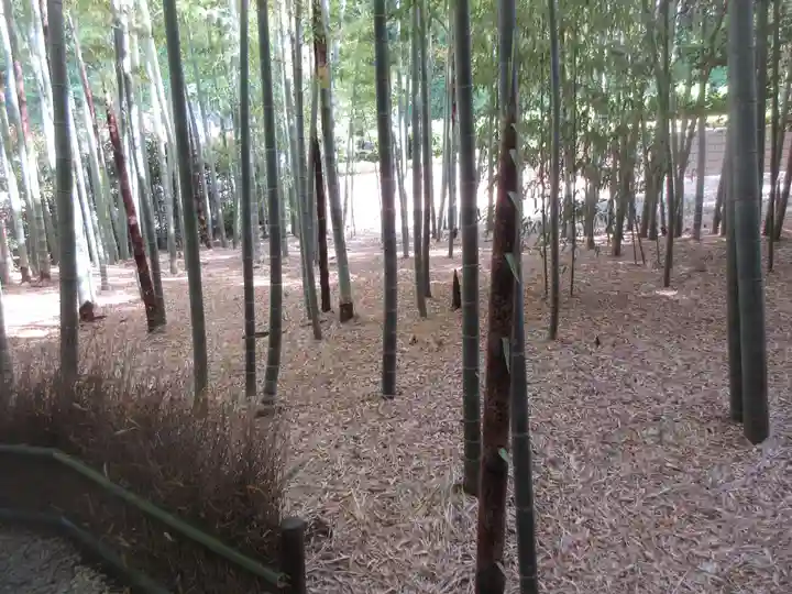 報国寺(神奈川県)