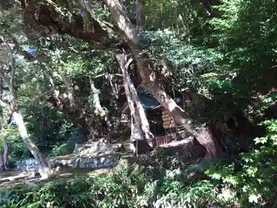 出雲大社北島国造館 出雲教(島根県)