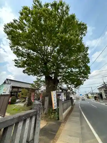 三ツ木神社(埼玉県)