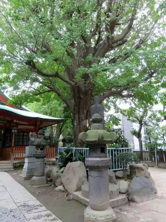 秋葉神社の自然