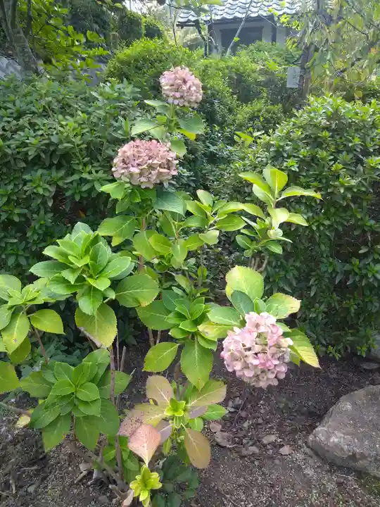 木華佐久耶比咩神社の自然