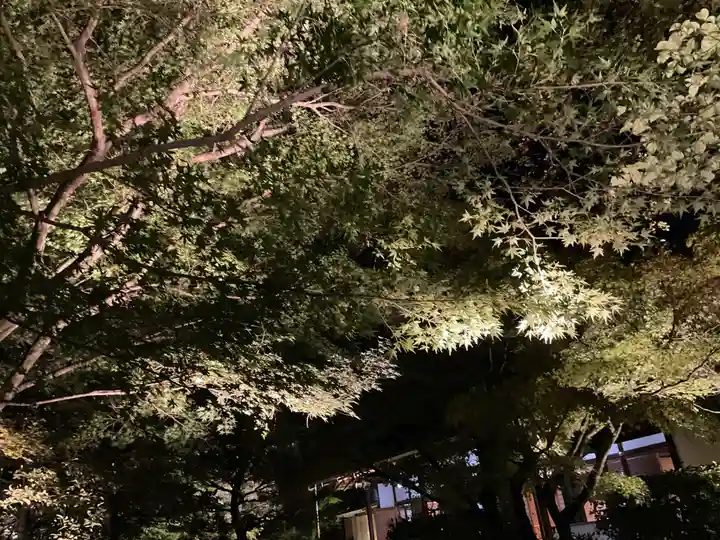 圓徳院(京都府)