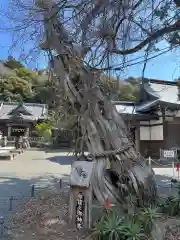 伊古奈比咩命神社(静岡県)