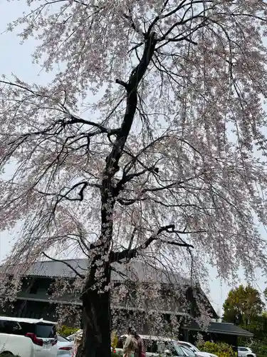 南禅寺(京都府)