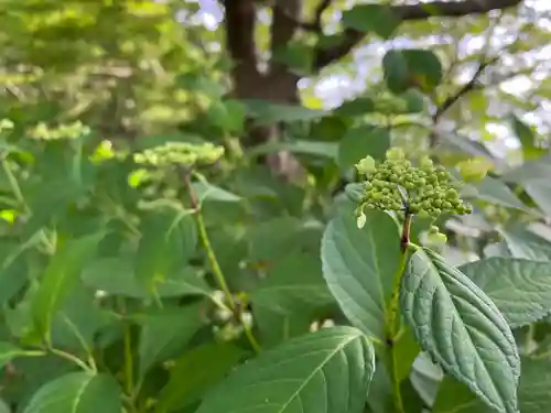 石清水八幡宮(京都府)