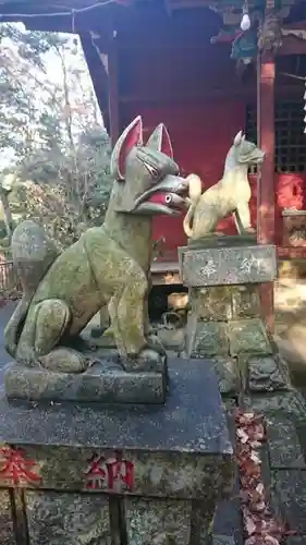 菅東山出世稲荷神社の狛犬