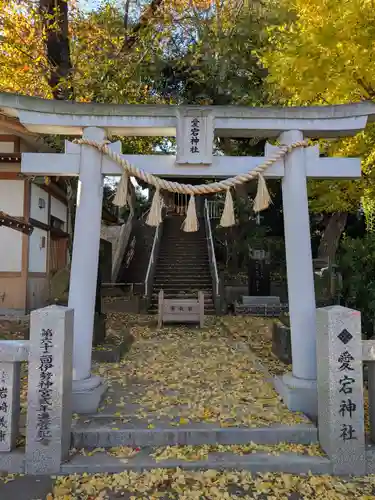 岩槻愛宕神社(埼玉県)