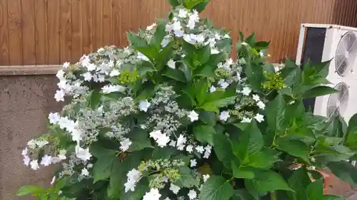 十日恵比須神社(福岡県)