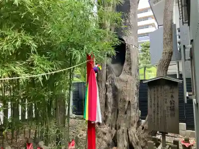 東神奈川熊野神社の{uncategorized: "未分類", other: "その他", undefined: "問題あり", building: "その他建物", grave: "お墓", sacred_gate: "鳥居", guardian: "狛犬", statue: "像", buddha: "仏像", history: "歴史", nature: "自然", garden: "庭園", animal: "動物", pagoda: "塔", temizu: "手水舎", mountain_gate: "山門・神門", sanctuary: "本殿・本堂", subordinate: "末社・摂社", art: "芸術", scenery: "景色", jizo: "地蔵", ema: "絵馬", goshuin: "御朱印", omikuji: "おみくじ", items: "授与品その他", amulet: "お守り", goshuincho: "御朱印帳", eats: "食事", festival: "お祭り", votive_dance: "神楽", shichigosan: "七五三参", wedding: "結婚式", experience: "体験その他", initially: "初詣", around: "周辺", anti_infection: "感染症対策"}