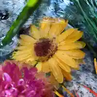 滑川神社 - 仕事と子どもの守り神の手水舎