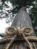 北口本宮冨士浅間神社の自然