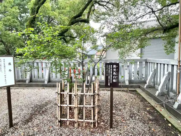 加納天満宮(岐阜県)