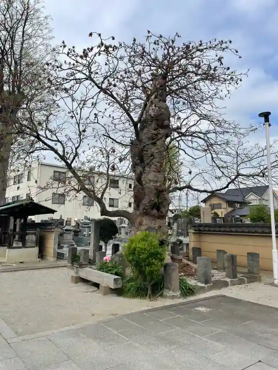 多聞寺の{uncategorized: "未分類", other: "その他", undefined: "問題あり", building: "その他建物", grave: "お墓", sacred_gate: "鳥居", guardian: "狛犬", statue: "像", buddha: "仏像", history: "歴史", nature: "自然", garden: "庭園", animal: "動物", pagoda: "塔", temizu: "手水舎", mountain_gate: "山門・神門", sanctuary: "本殿・本堂", subordinate: "末社・摂社", art: "芸術", scenery: "景色", jizo: "地蔵", ema: "絵馬", goshuin: "御朱印", omikuji: "おみくじ", items: "授与品その他", amulet: "お守り", goshuincho: "御朱印帳", eats: "食事", festival: "お祭り", votive_dance: "神楽", shichigosan: "七五三参", wedding: "結婚式", experience: "体験その他", initially: "初詣", around: "周辺", anti_infection: "感染症対策"}