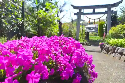 横浜御嶽神社(神奈川県)