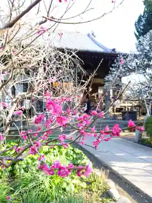 宝戒寺の{uncategorized: "未分類", other: "その他", undefined: "問題あり", building: "その他建物", grave: "お墓", sacred_gate: "鳥居", guardian: "狛犬", statue: "像", buddha: "仏像", history: "歴史", nature: "自然", garden: "庭園", animal: "動物", pagoda: "塔", temizu: "手水舎", mountain_gate: "山門・神門", sanctuary: "本殿・本堂", subordinate: "末社・摂社", art: "芸術", scenery: "景色", jizo: "地蔵", ema: "絵馬", goshuin: "御朱印", omikuji: "おみくじ", items: "授与品その他", amulet: "お守り", goshuincho: "御朱印帳", eats: "食事", festival: "お祭り", votive_dance: "神楽", shichigosan: "七五三参", wedding: "結婚式", experience: "体験その他", initially: "初詣", around: "周辺", anti_infection: "感染症対策"}