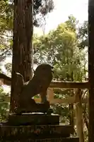 八幡神社(渋草)(愛媛県)
