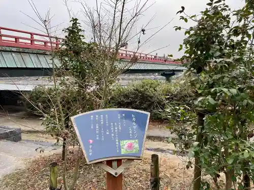 宇治神社の自然