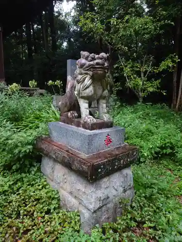 鳩峯八幡神社の狛犬