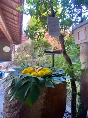 善法律寺(京都府)