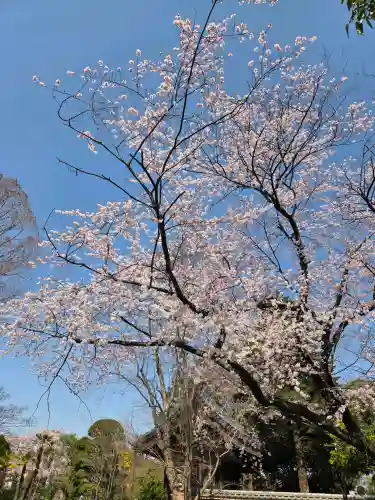 中院の{uncategorized: "未分類", other: "その他", undefined: "問題あり", building: "その他建物", grave: "お墓", sacred_gate: "鳥居", guardian: "狛犬", statue: "像", buddha: "仏像", history: "歴史", nature: "自然", garden: "庭園", animal: "動物", pagoda: "塔", temizu: "手水舎", mountain_gate: "山門・神門", sanctuary: "本殿・本堂", subordinate: "末社・摂社", art: "芸術", scenery: "景色", jizo: "地蔵", ema: "絵馬", goshuin: "御朱印", omikuji: "おみくじ", items: "授与品その他", amulet: "お守り", goshuincho: "御朱印帳", eats: "食事", festival: "お祭り", votive_dance: "神楽", shichigosan: "七五三参", wedding: "結婚式", experience: "体験その他", initially: "初詣", around: "周辺", anti_infection: "感染症対策"}