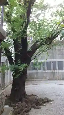元三島神社(東京都)