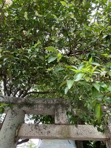 北野天満宮(京都府)