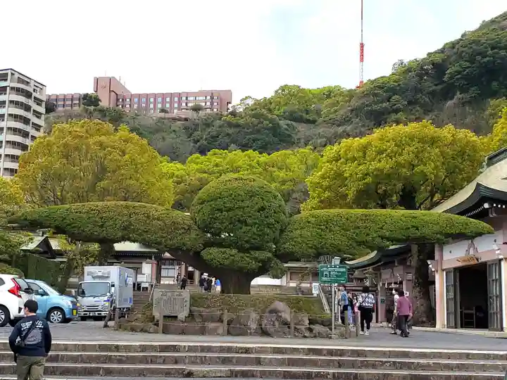 照國神社の自然